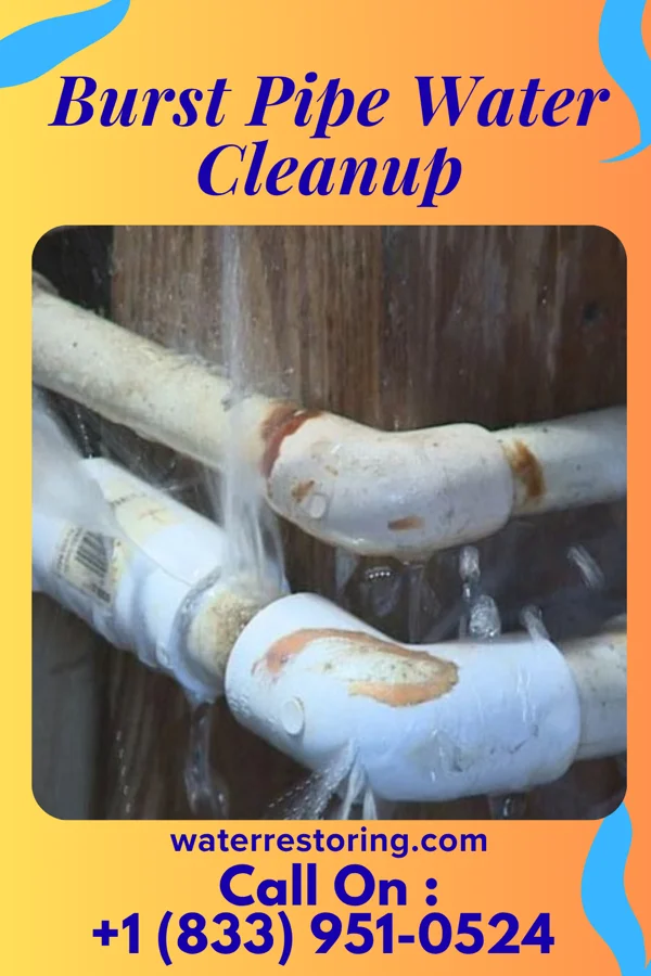 Burst Pipe Water Cleanup in Sweetwater, TN