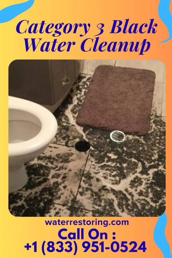 Category 3 Black Water Cleanup in Sweetwater, TN