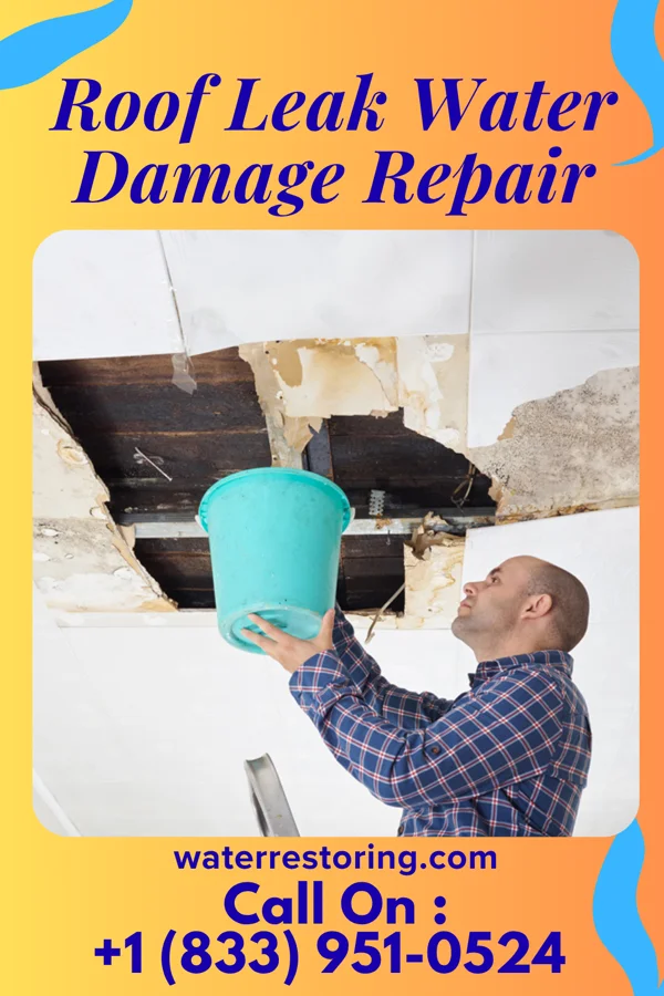 Roof Leak Water Damage Repair in Sweetwater, TN